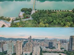 -白鹭洲公园