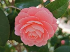 -杭州植物园