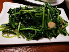 素炒板蓝根-老滇山寨•云南特色菜•地方菜•民族风情歌舞表演(金碧店)