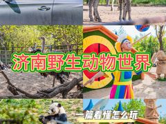 -济南野生动物世界