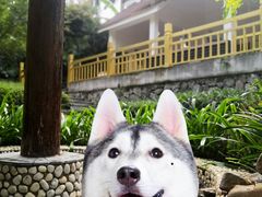 -嘉和K6温泉微度假