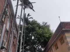 -厦门市日光幼儿园