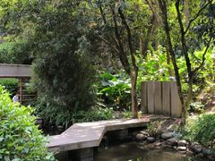 -火炉山森林公园