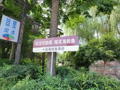 -西安汉城湖景区