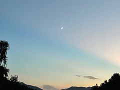 -王顺山国家森林公园