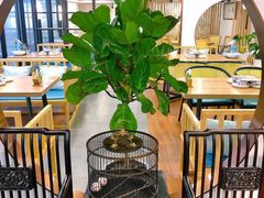 大堂-老苏州大客堂·苏帮菜·松鼠桂鱼·苏州传统小吃(观前街人民商场店)