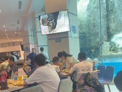 -帝企鹅自助餐厅•儿童岛•真企鹅(长隆企鹅酒店)