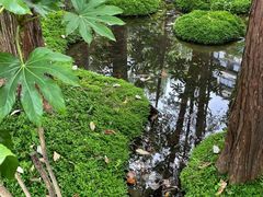 -成都市活水公园