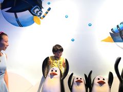 -芜湖新华联大白鲸海洋公园