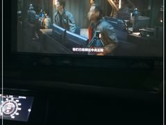 -枫花园汽车电影院(朝阳公园店)