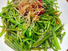 -菌自由丨野生菌火锅特色庭院餐厅(丽江古城店)