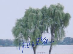-漕湖湿地公园