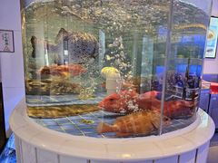 -金苑海鲜酒家(来魅力店)