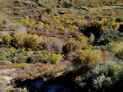 -塞罕坝国家级自然保护区