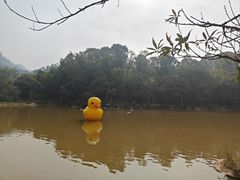 -大雁山风景区