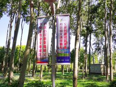 -仁和公园(顺义区)