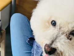 -爱侣宠医·鹦鹉专科·小型哺乳类·异宠专科(灵石路店)