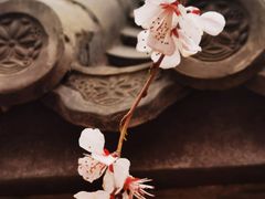 -三里河公园