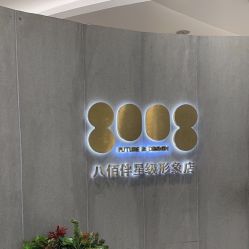 -八佰伴8008星级形象店