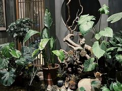 -邈墨茶馆(凤起路店)