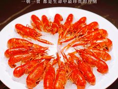-红盔甲·小龙虾(长寿路店)