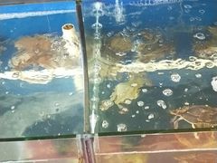 -渔中舟海鲜大排档(普陀沈家门店)