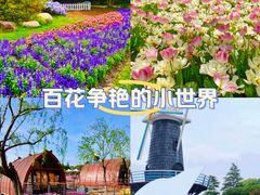 -上海鲜花港