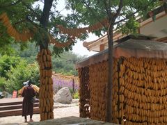 -大平台龙居瀑布旅游区