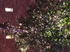 -肉串汪(望京店)