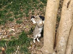 -普陀山慧济禅寺