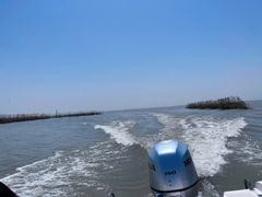 -泗洪洪泽湖湿地景区