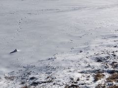 -蓟县盘山滑雪场