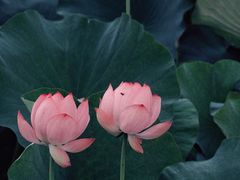 -玄武湖景区-情侣园游乐场