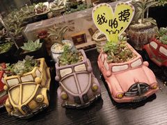 -北方图书城(沈阳天地店)