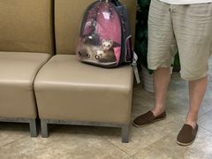 -美联众合动物医院·24h转诊中心