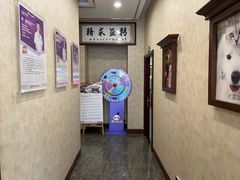 -宠爱国际动物医院· 猫科· 外科·中兽医(长白店)
