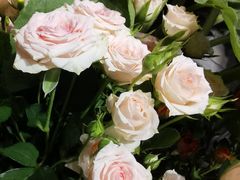 -爱尚幸福鲜花(上地实体店)