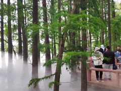 -东湖落雁景区