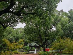 -申粤轩酒楼·三十年粤菜经典(丁香花园店)
