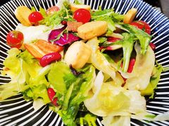 -京城·森鸽排档(双井店)
