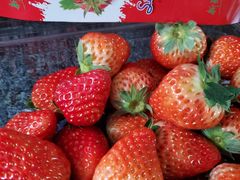 -鲜力达果品批发直销(青山店)