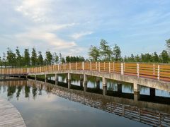 -春花秋色城市公园