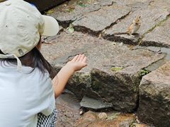 -五营红松林海景区