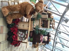 泰迪熊博物馆-济州岛泰迪熊博物馆