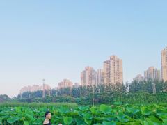 -前关湿地公园
