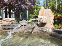 -中家鑫园温泉酒店鑫悦汤泉