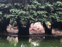 -九龙公园