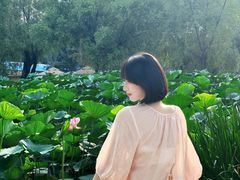 -长春市南湖公园