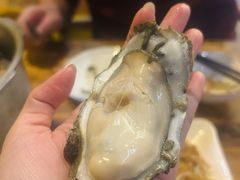 -土蚝·高压锅生蚝(百姓美食街店)