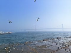 -星海广场